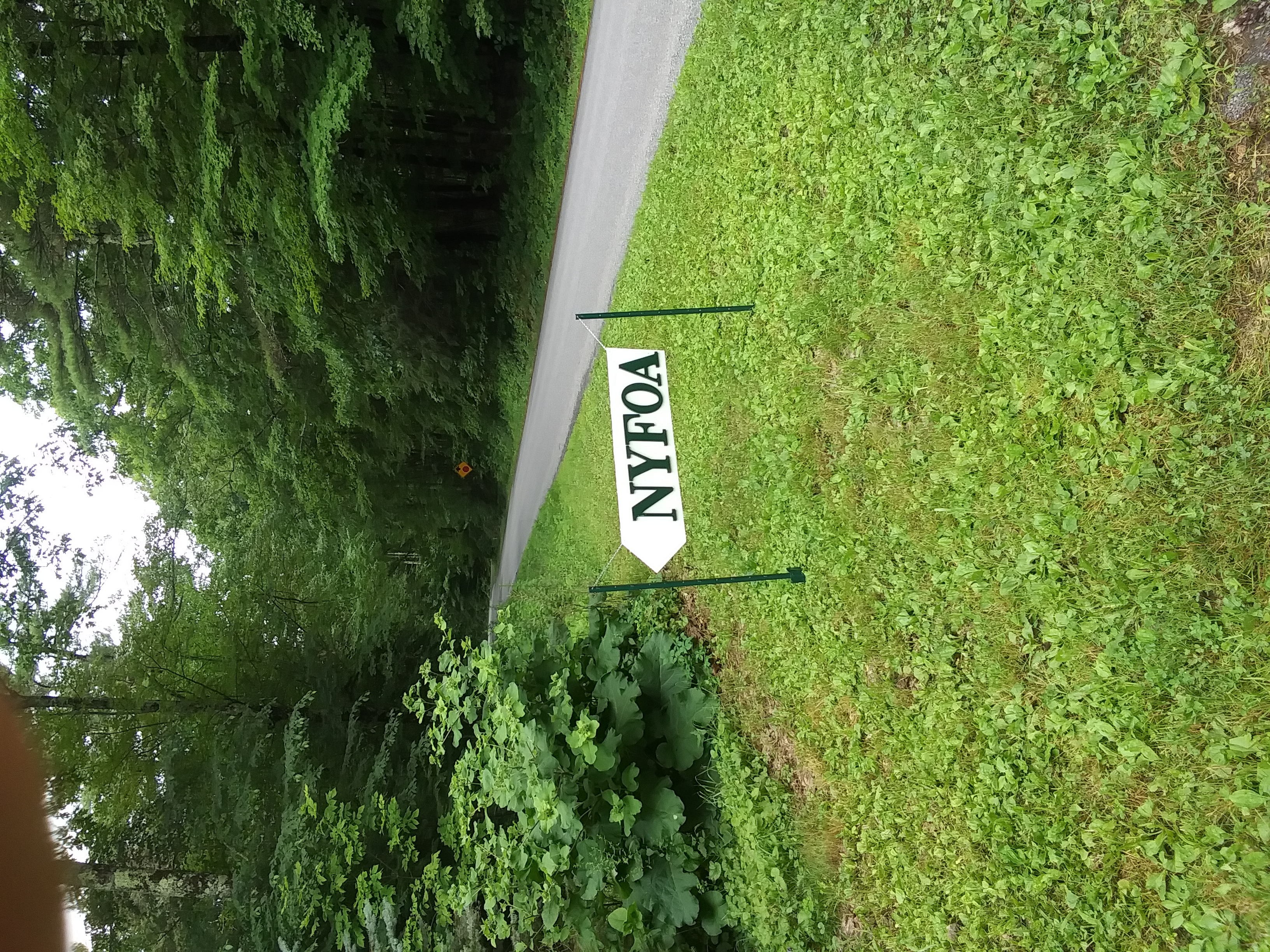 Draiss_woods_walk_-_NYFOA_Sign.jpg